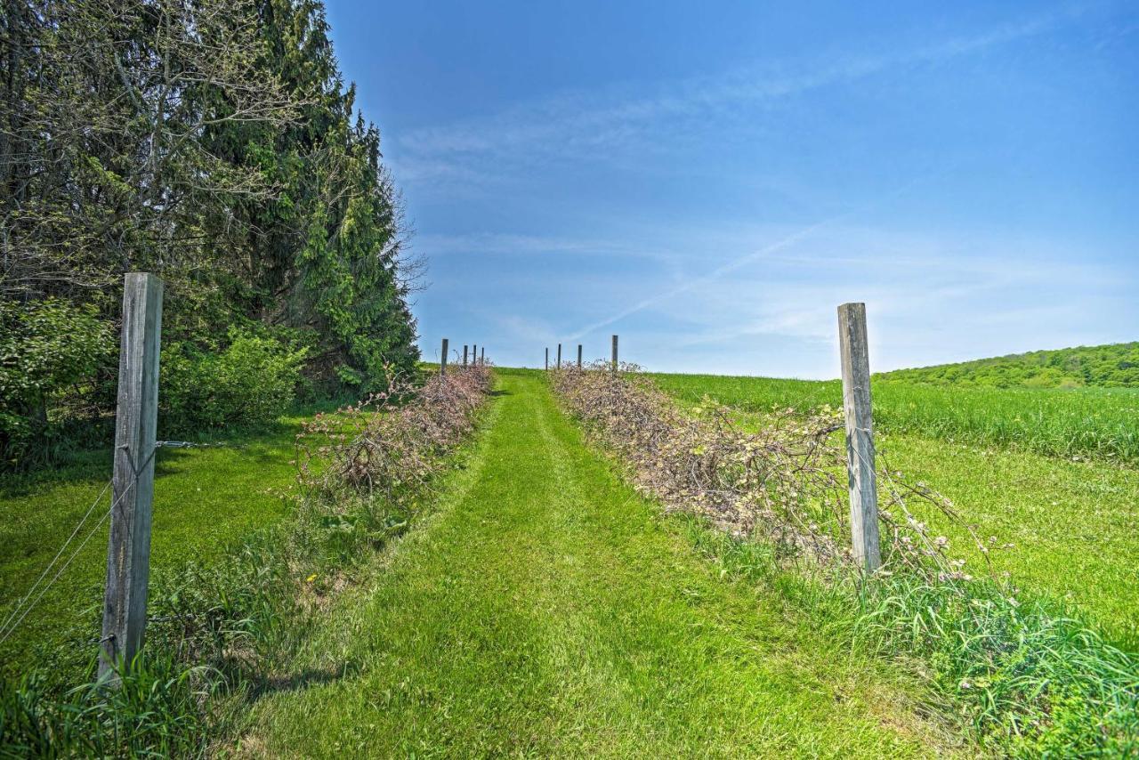 Country Escape With Sauna, 10 Mi To Cooperstown Richfield Springs Экстерьер фото