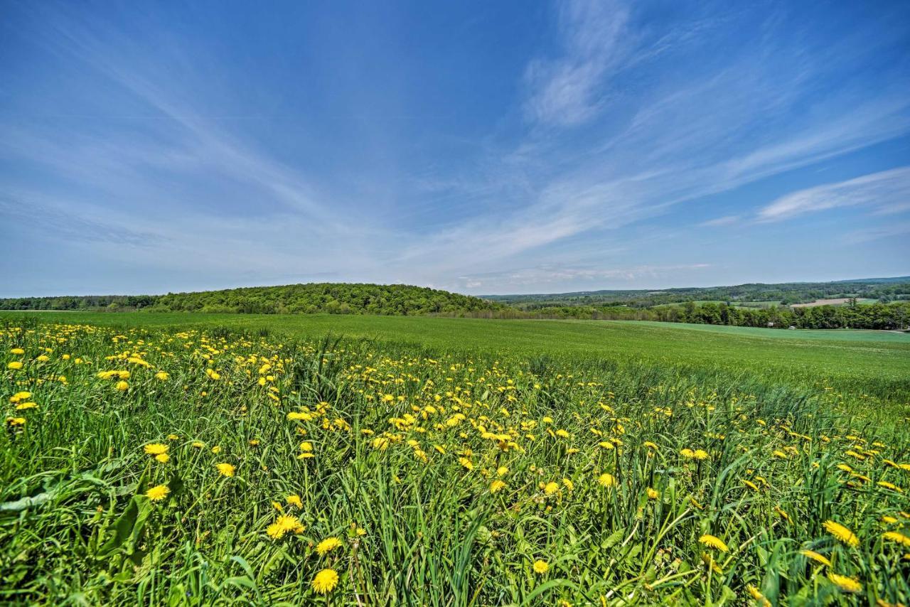 Country Escape With Sauna, 10 Mi To Cooperstown Richfield Springs Экстерьер фото