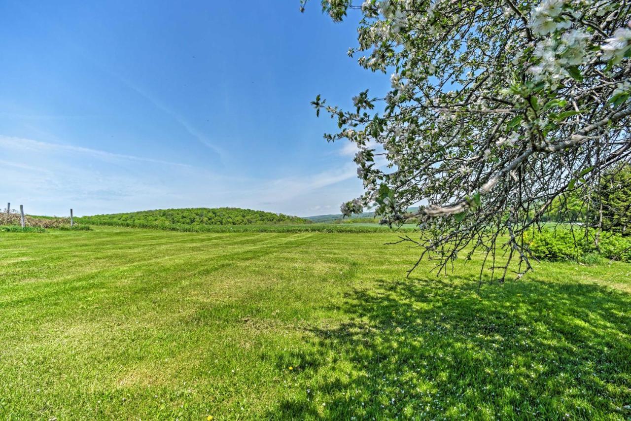 Country Escape With Sauna, 10 Mi To Cooperstown Richfield Springs Экстерьер фото